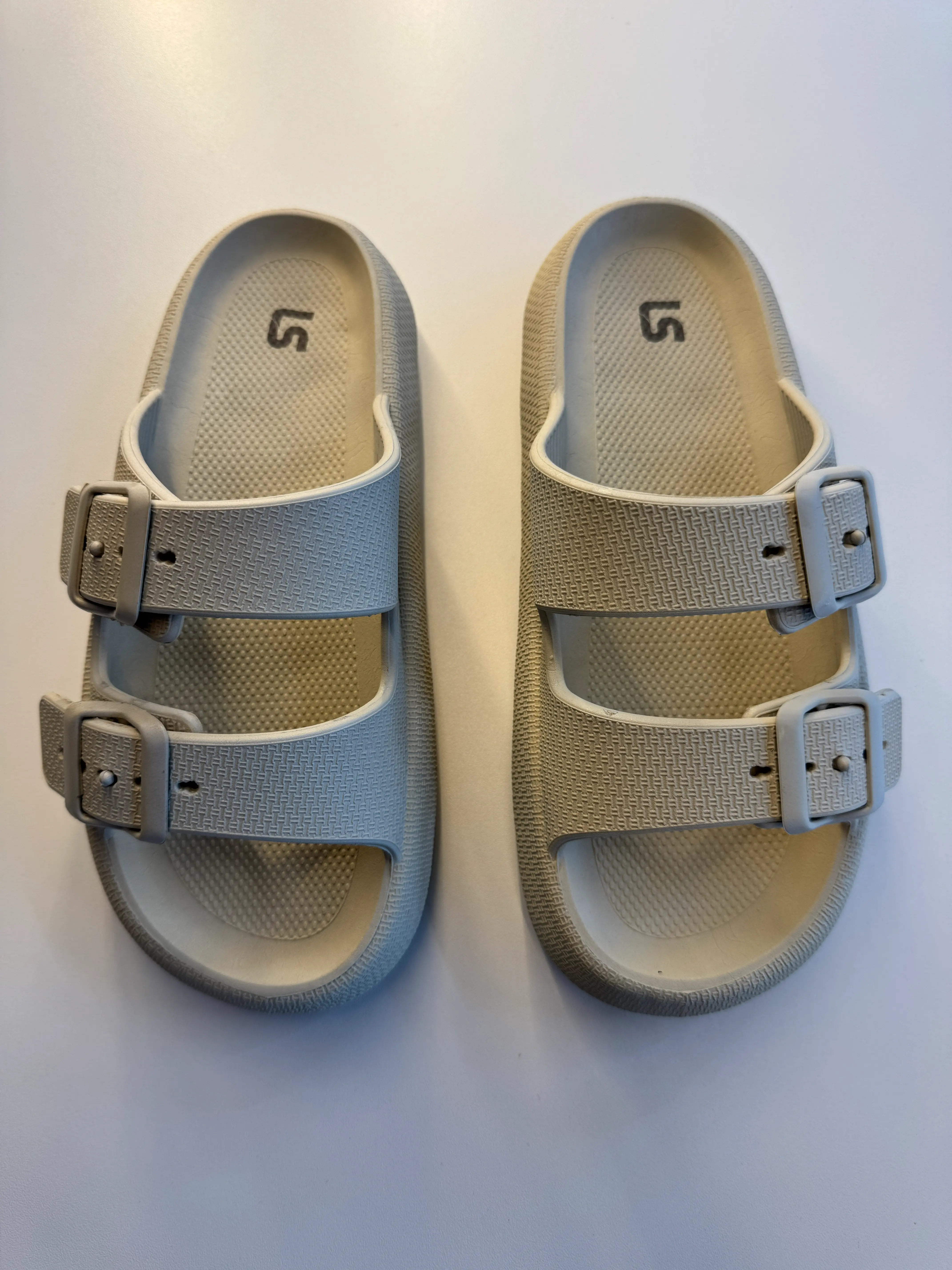 Birken